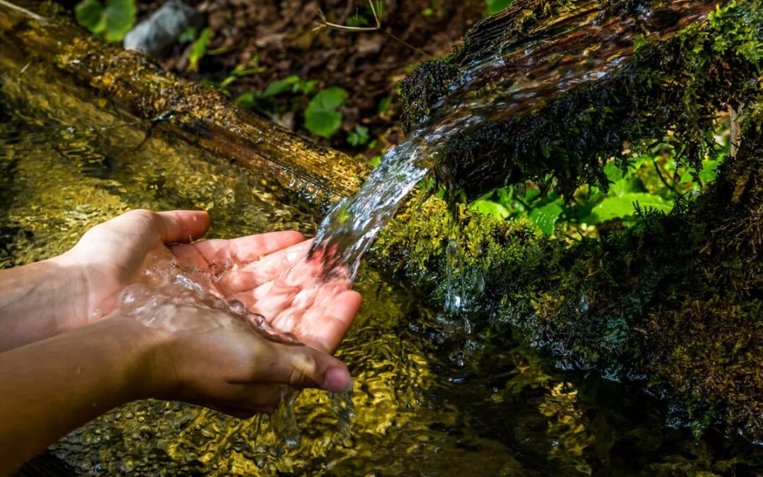 A water smart city: Learning from Singapore