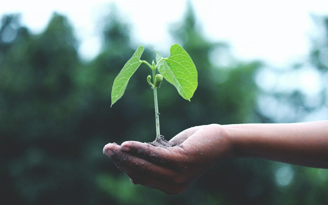 Future Made in Australia needs water to make it happen