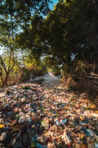 Local initiatives can help tackle plastic pollution at its sources