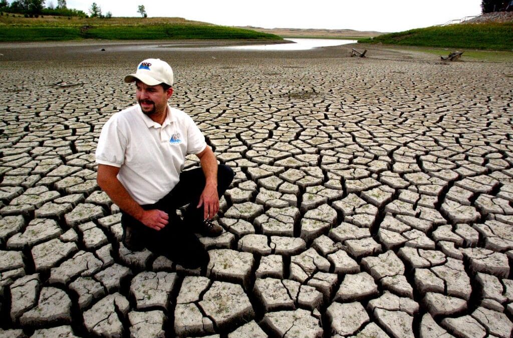 Drought 101: Everything You Need to Know