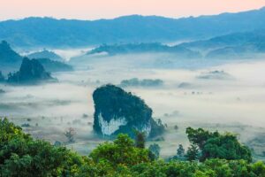 Many Southeast Asian forests could weather climate change if we leave them be