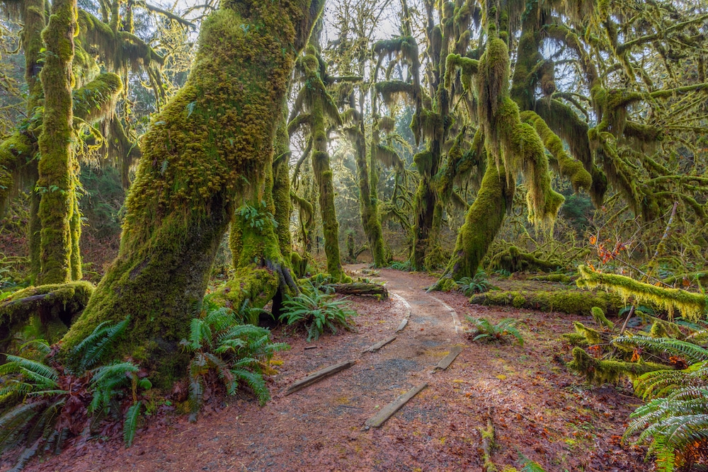 4 Natural Wonders of the Pacific Northwest