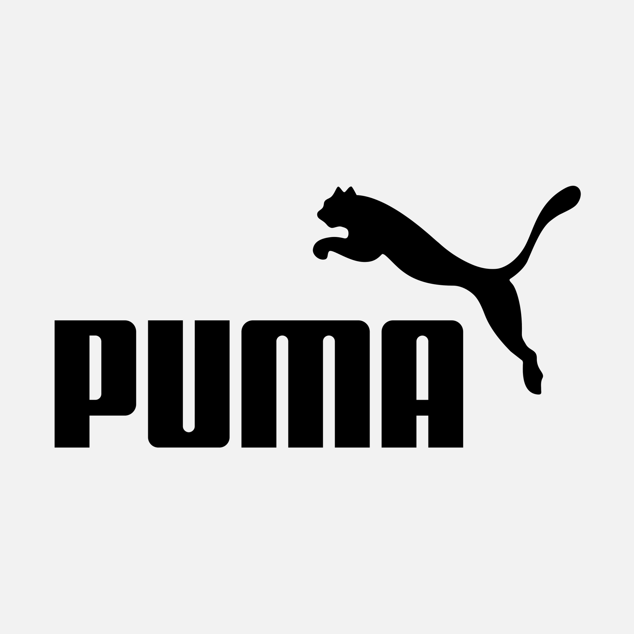 puma