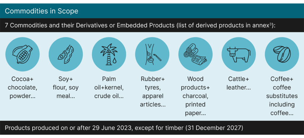 Detangling the EU Deforestation Regulation