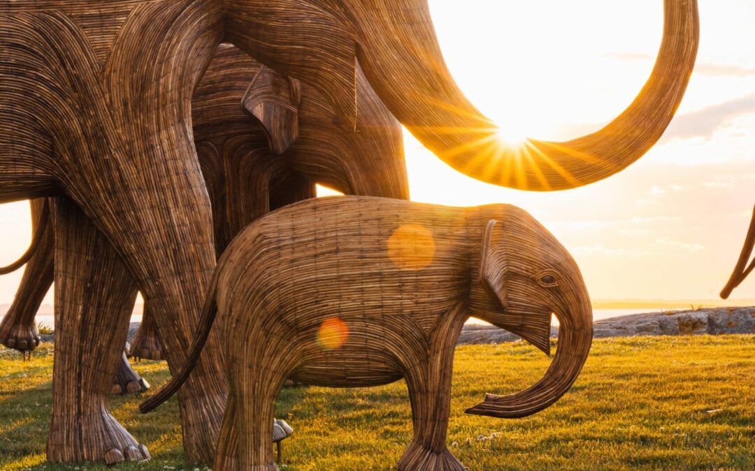 100 Life-Sized Elephants Lumber Along a Newport Cliff in a Global Conservation Project