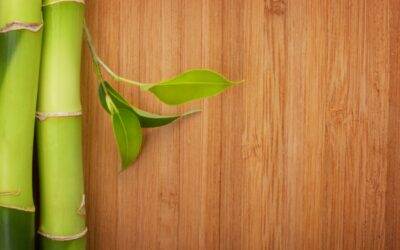 The Manufacturing Process of Sustainable Bamboo Flooring