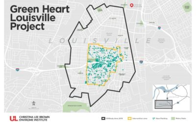 Could Living Near More Trees Boost Your Heart?