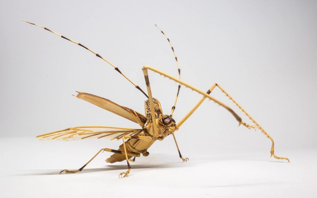 Insects Metamorphose from Bamboo in Noriyuki Saitoh’s Meticulous Sculptures