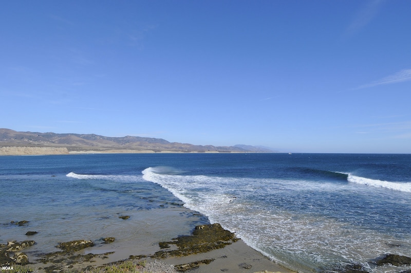 California’s First National Marine Sanctuary in Over 3 Decades Will Protect 116 Miles of Coastline