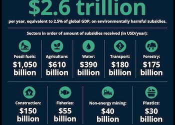 $2.6 Trillion Spent Annually on Global Subsidies That Harm the Environment, Report Finds