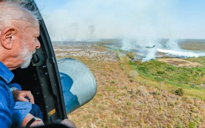 Deforestation and Wildfires in Brazil Contributing to ‘Most Intense and Widespread Drought in History’