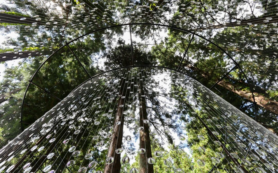 14,000 Prescription Lenses Dangle like Dewdrops in a Lush Japanese Forest