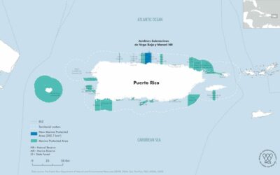 Puerto Rico’s New Marine Reserve Will Protect More Than 14 Endangered Species