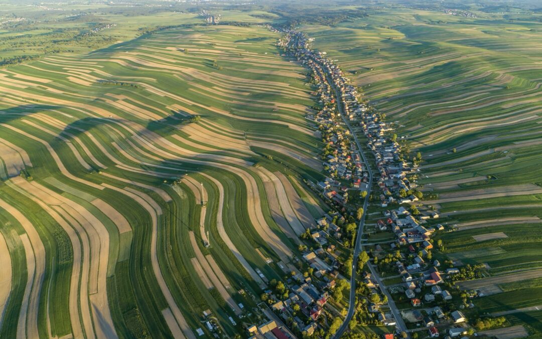 George Steinmetz Journeys Around the World to Illuminate Where Food Comes From