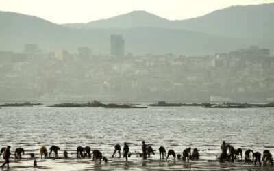 Spanish Fishers in Galicia Say Shellfish Stocks Are Collapsing Due to Climate Change