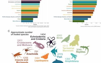 Nearly 30,000 Unregulated Wild Animal Species Traded in the U.S., Researchers Find