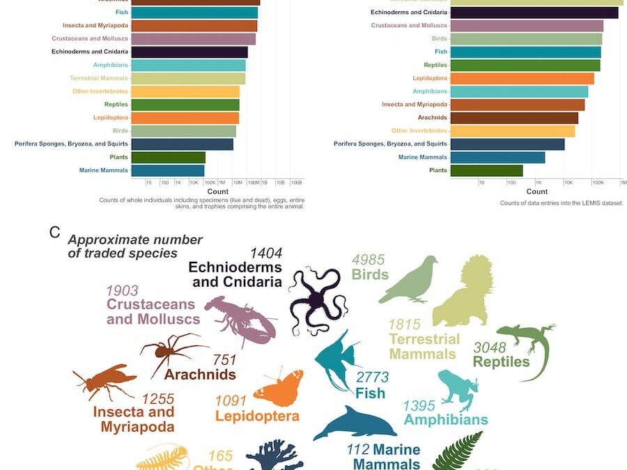 Nearly 30,000 Unregulated Wild Animal Species Traded in the U.S., Researchers Find