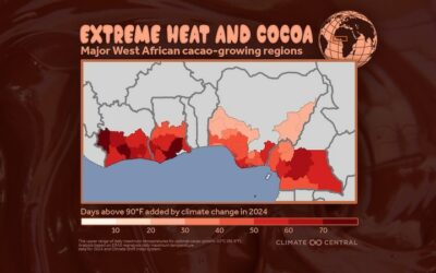 Climate Crisis Is Causing a Chocolate Market Meltdown: Study