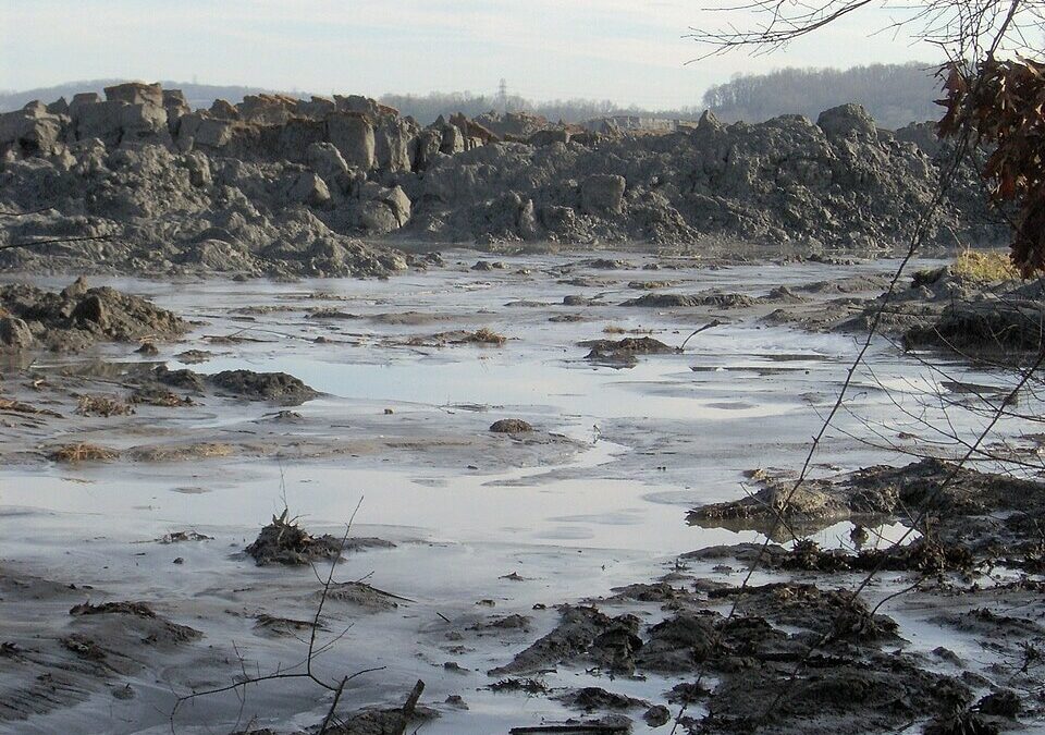 A Flood of Ash: The Fight for Justice in Kingston, Tennessee