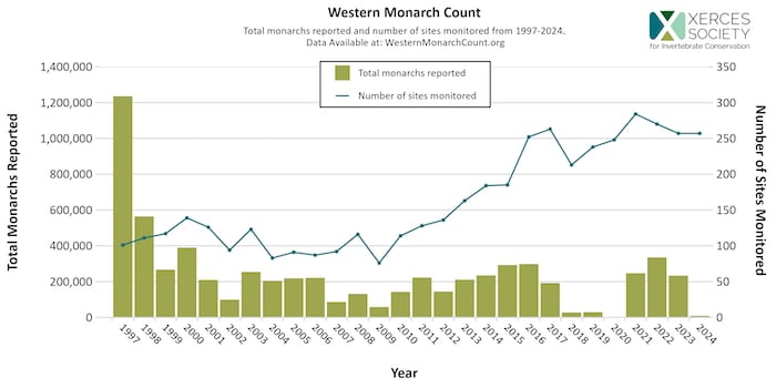 California’s Monarch Butterfly Population Plummets to Near-Record Low