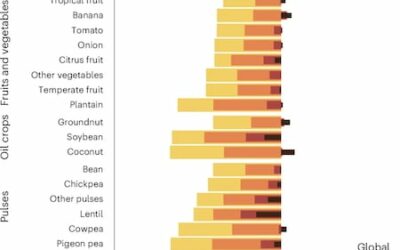 Climate Change Threatens Earth’s Major Crops, Study Finds