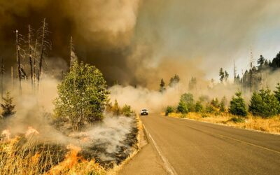 Google’s groundbreaking satellite now orbits Earth to spot fires faster than ever before