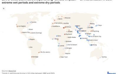 Dangerous Climate ‘Whiplash’ Is Impacting Cities Globally, Report Finds