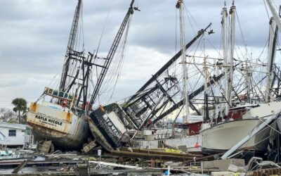 2025 Climate Disaster Costs Could Reach $145 Billion Globally: Analysis