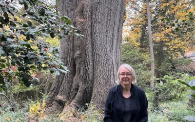 All Climate Change Is Local: A Story of Tacoma Park’s Trees With Author Mike Tidwell