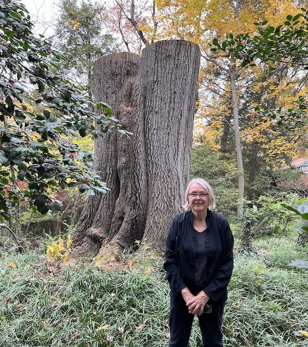 All Climate Change Is Local: A Story of Tacoma Park’s Trees With Author Mike Tidwell
