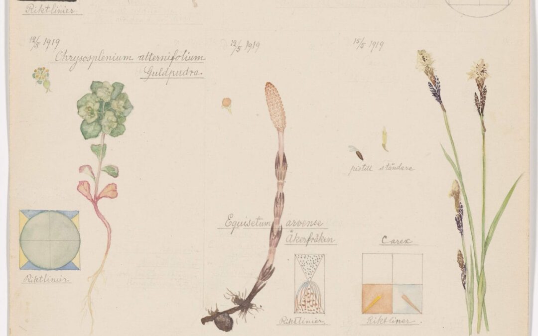 A Unique Portfolio of Hilma af Klint’s Botanical Drawings Communes with Nature’s Spiritual Side