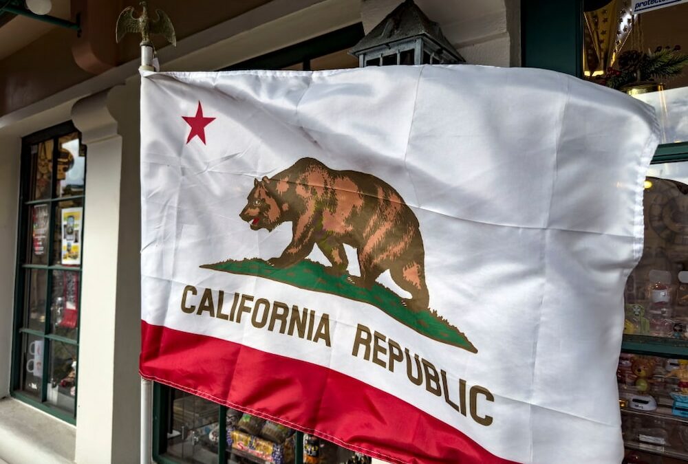 Grizzlies Could Make a Comeback in California, New Study Suggests