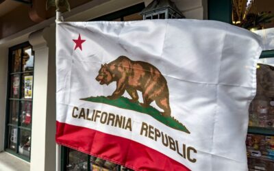 Grizzlies Could Make a Comeback in California, New Study Suggests