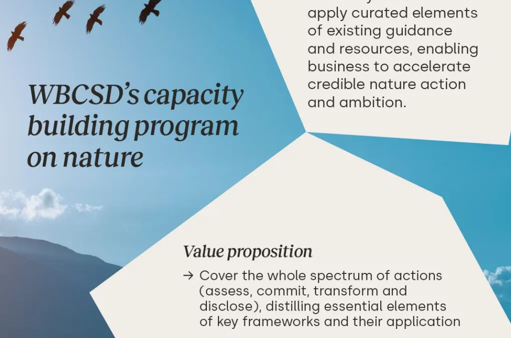 Building business capacity on nature
