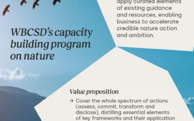 Building business capacity on nature