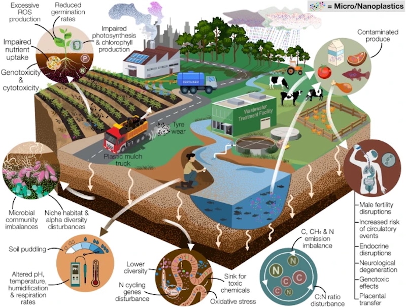 Agricultural Soil Can Contain Microplastics at 23x Higher Concentrations Than What Oceans Hold, Study Says