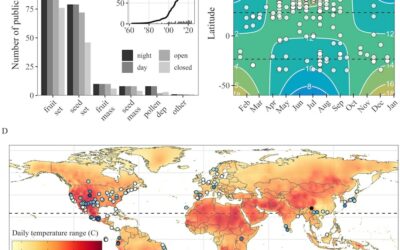 Pollination ‘Magic’ Happens at Night Too, First-of-Its-Kind Study Finds
