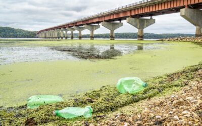 Environmental Groups Successfully Petition Alabama to Update Water Toxicity Standards