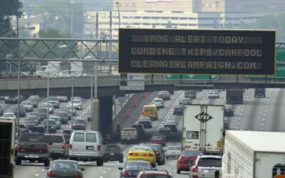 Study Links Air Pollution and Pregnancy Risks at the Molecular Level