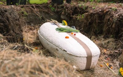 First-Ever Mushroom Casket Burial in North America Could Signal Cultural Shift Toward More Planet-Friendly Traditions