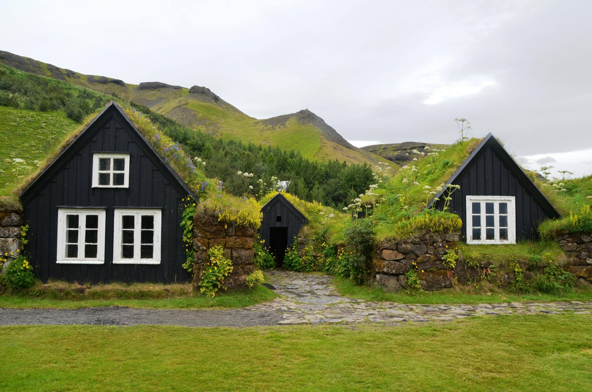 Sustainable Roofing
