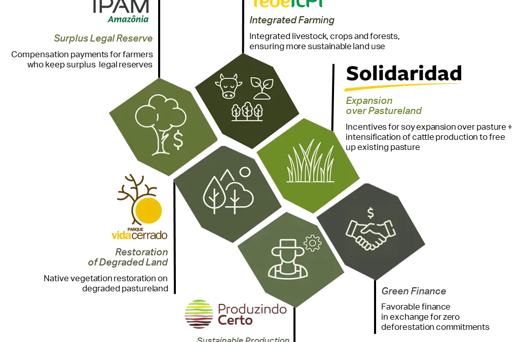 From Risk to Resilience: Landscape-scale solutions for sustainable commodities in the Cerrado 