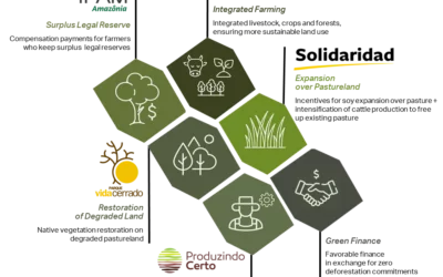 From Risk to Resilience: Landscape-scale solutions for sustainable commodities in the Cerrado 
