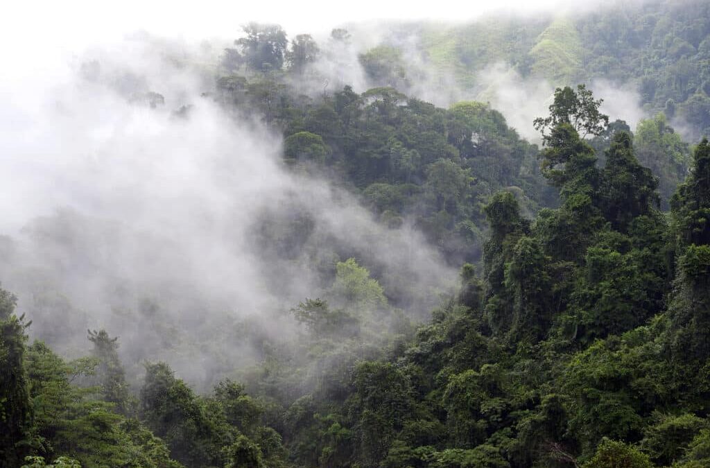What Mountains Provide and Why They Need Protection