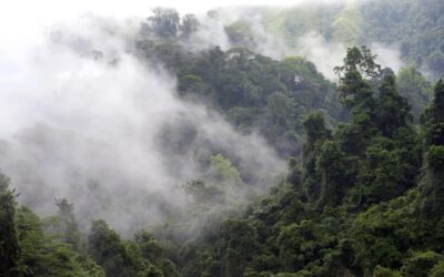 What Mountains Provide and Why They Need Protection