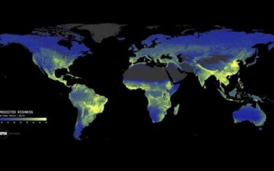 Earth’s Underground Fungi Networks Need Urgent Protection: Study