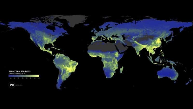 Earth’s Underground Fungi Networks Need Urgent Protection: Study
