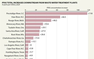 Higher Levels of PFAS Found in Waterways Downstream From Wastewater Treatment Plants: Report