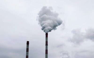 Krise bei den Online-Retouren: Neue Technologien könnten die Auswirkungen auf die Umwelt abmildern